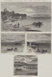 Zalmvissen op de rivier Tay